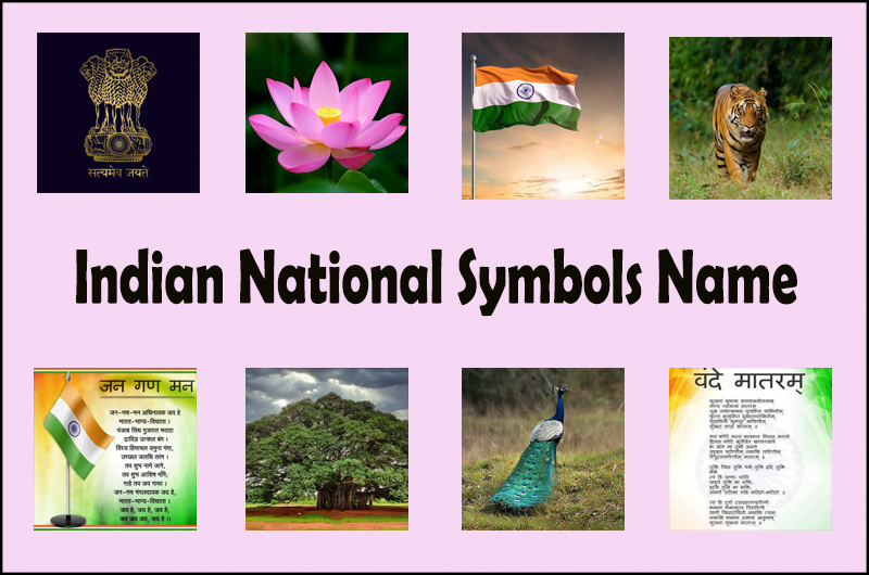  Indian National Symbols In Hindi 