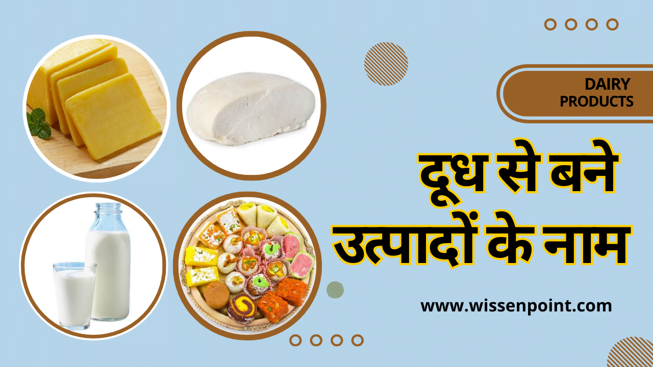 दूध से बने उत्पादों के नाम Dairy Products Names In Hindi & English