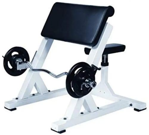 Preacher Curl Bench