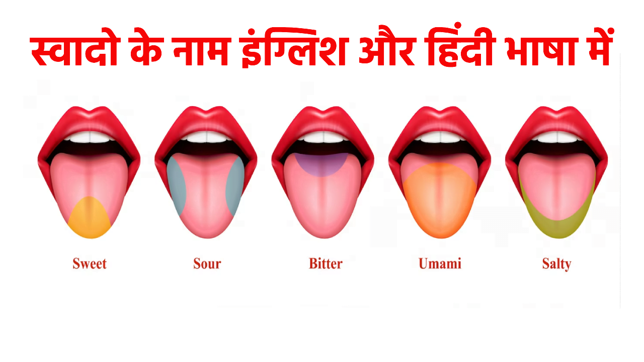 taste-names-in-hindi-english